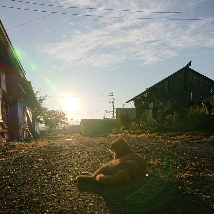 Fa71bbe3 a2c8 435f 990f 12d7f4ed1a33 1662327073426