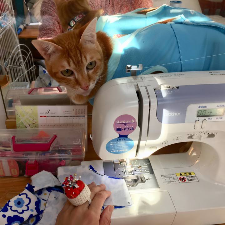 Fa71e47f d565 44ff bd40 d2568d9b15a7 1521022520974