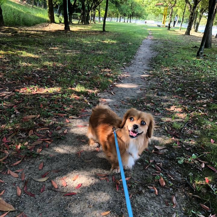 Fa72038d f4f6 4f7d 90b1 1581eeeb3b70 1527380473498