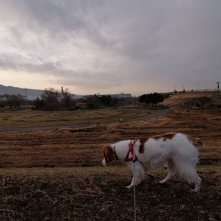 Fa72186b c95f 4b10 908c 7e72381af72d 1610759171017