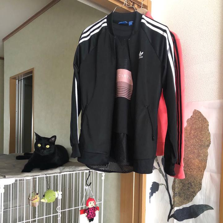 Fa722b44 9ae9 402f a8c2 d63362018b9d 1557641585354