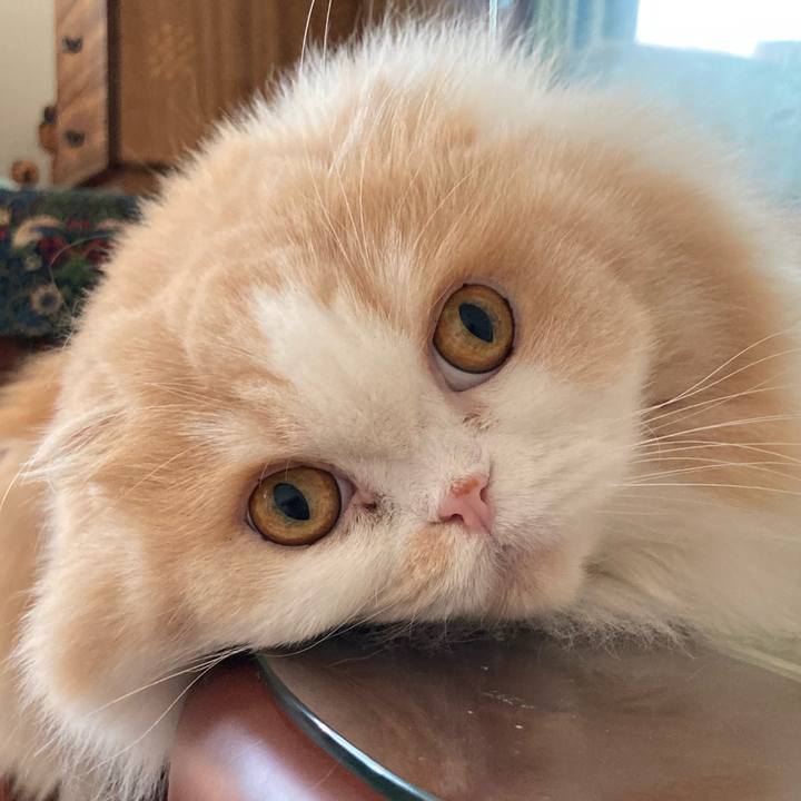 Fa727b17 cd91 4817 a05d aefba6a8f1fb 1632356894348