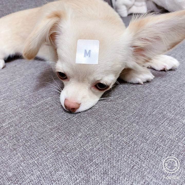 Fa72cfb1 701a 4262 aa38 80c8907e6afc 1603524430280