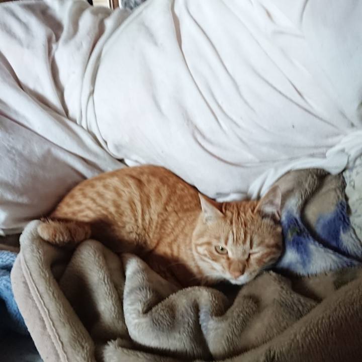 Fa72d668 0e13 46a8 80da 010252a42664 1649552536717