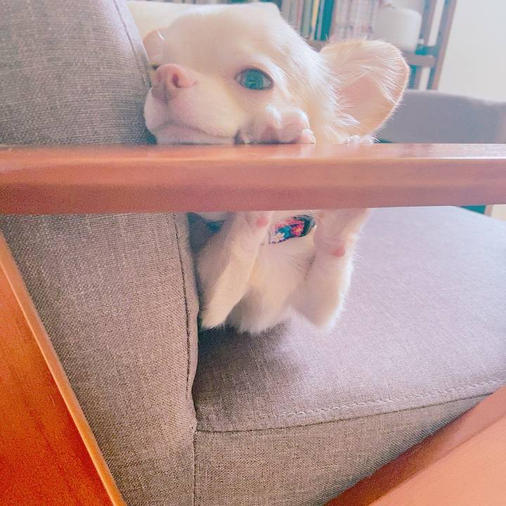 Fa730db5 7638 4d5d a58d 484092ad144e 1633325967769