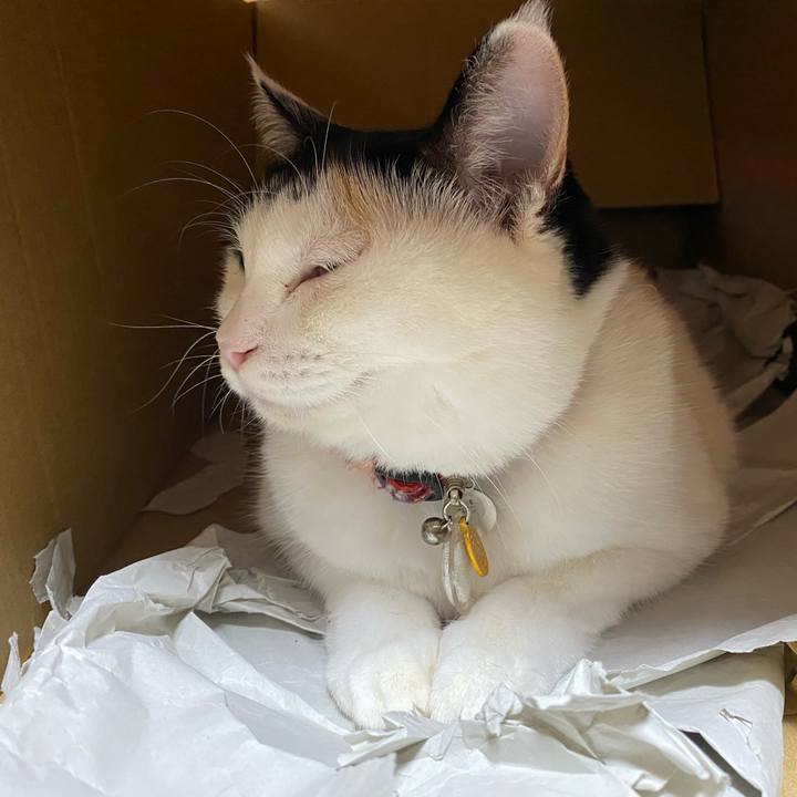 Fa736bdf 48c1 483a b7c6 94dd430c7687 1730894242286