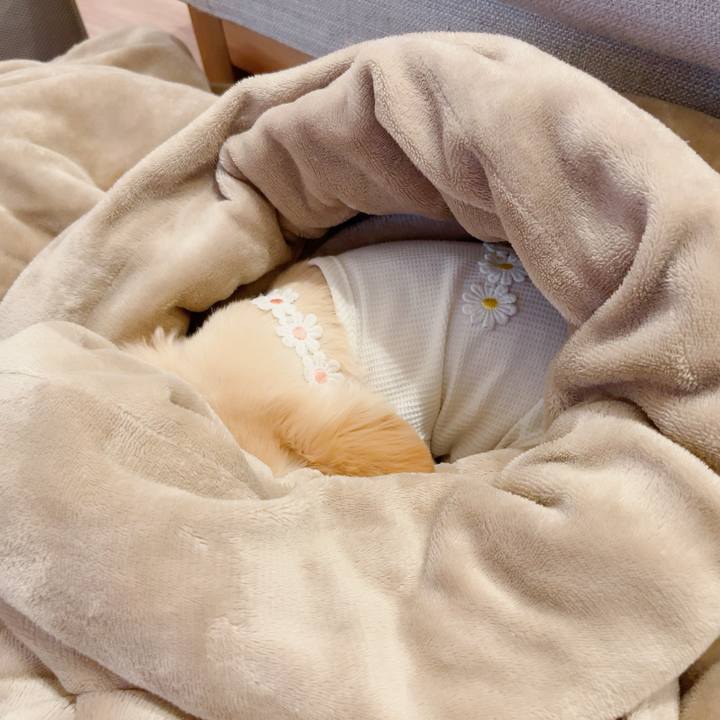 Fa738179 5cc4 4de3 bc0c 0d40241cd85f 1722251454080