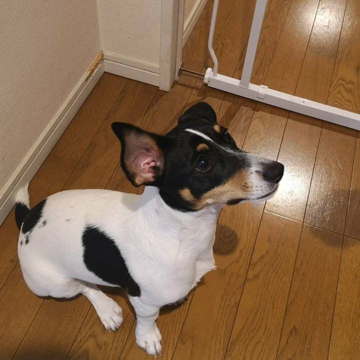 Fa73e5fc 041e 49f4 8a1a 9713c84eb8a0 1541922478744