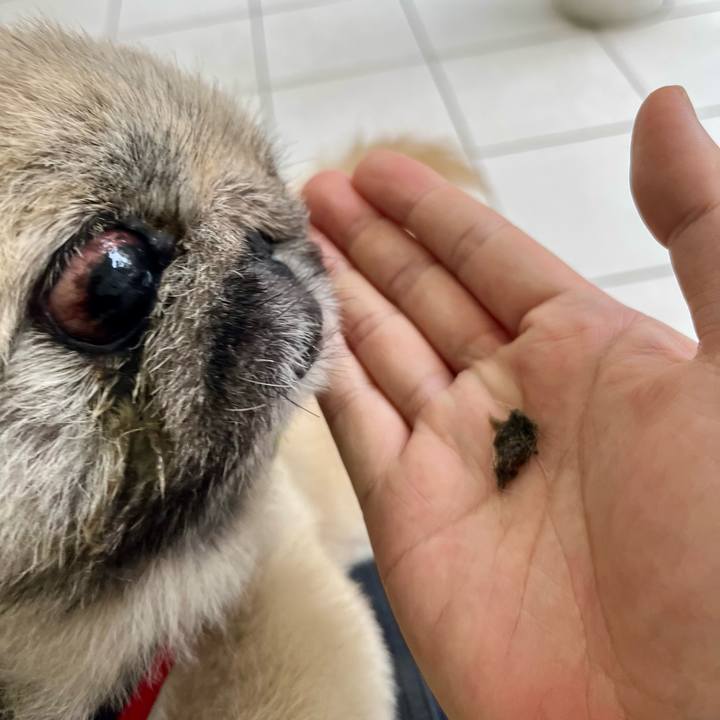 Fa73f6d7 51b5 4f93 b631 cfbe085f05b2 1760223755890