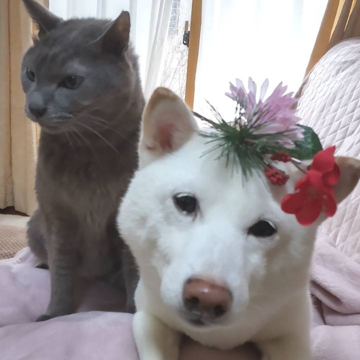 Fa744ecf 4e32 41fb b42a eecf520e756d 1640926646412