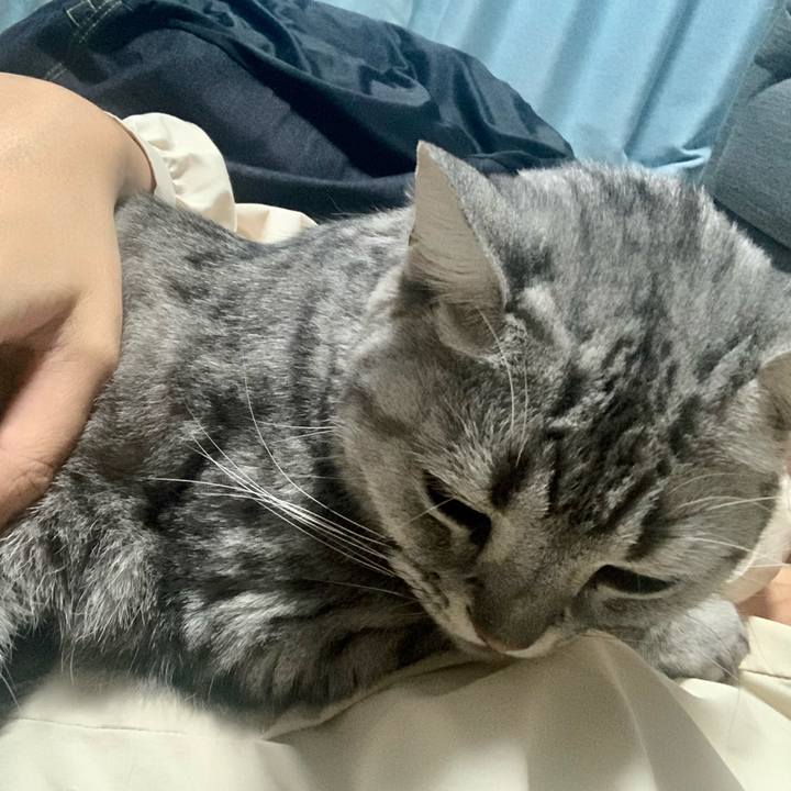 Fa7461a0 929a 4ed2 bd02 d825ee710efb 1667038482831