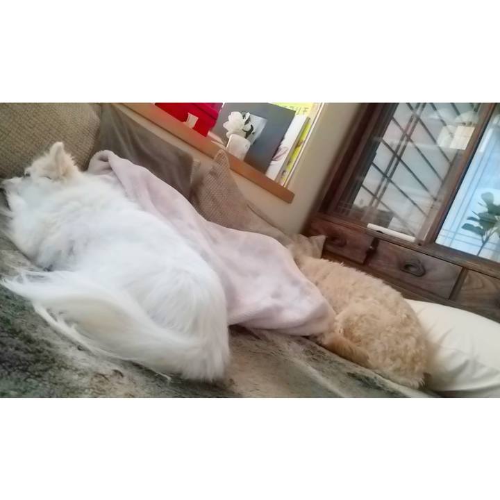 Fa748067 8041 400b b83f 2698345784fb 1650755854920