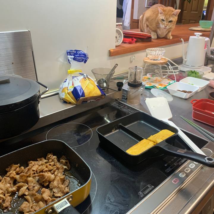 Fa74dafe 2850 4b7c 94f4 06f8319de9bd 1664486617082