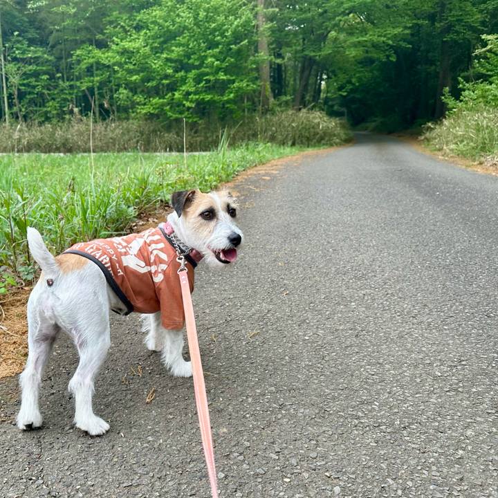 Fa74ee13 a20d 4ba4 88d0 c6713c2ad414 1713710878435