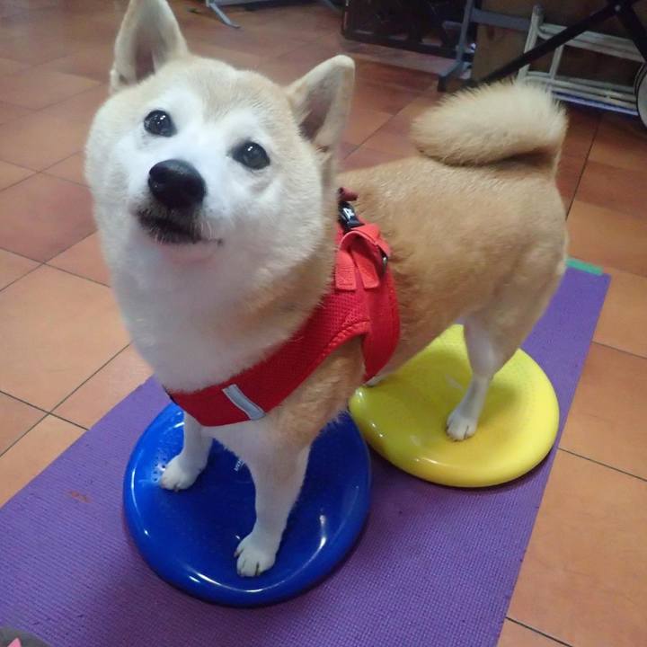 Fa753b9b 160e 44bc a0d9 ab8b75f00df3 1731367729205