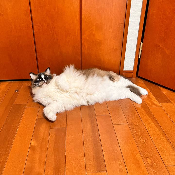 Fa7546f4 5971 41a9 9fed 1f963fe194c8 1657950095153