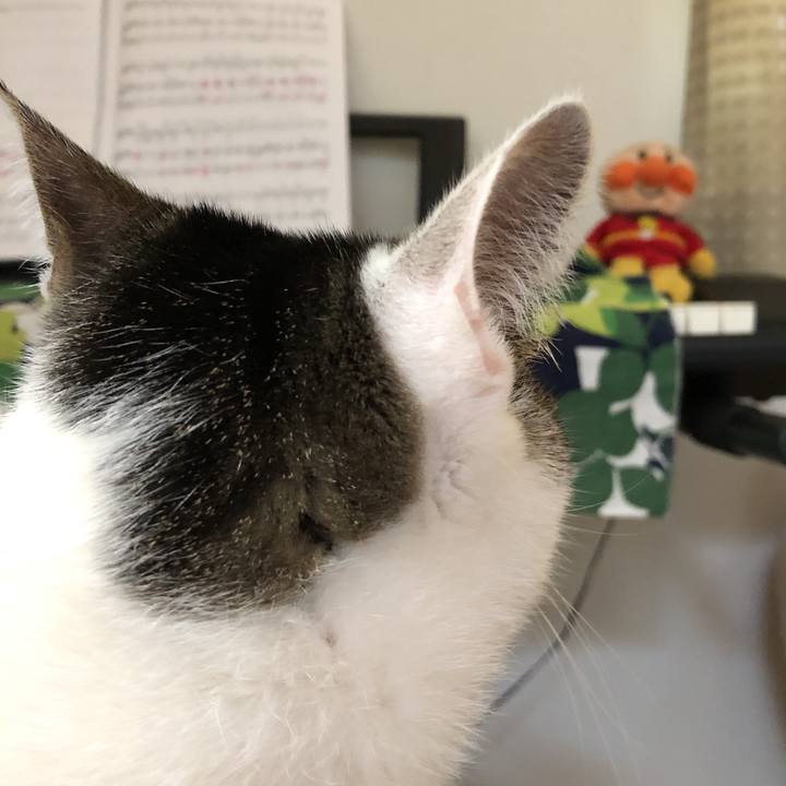 Fa759f41 d09a 42e5 a2c3 627d3210f002 1584840673245