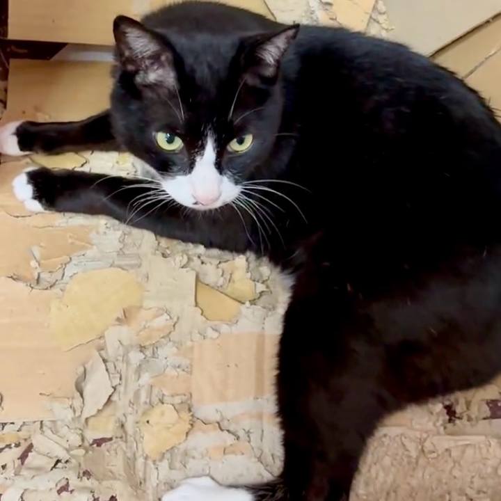 Fa75f600 b393 4dc8 af4d e836538d2cc2 1751505823944