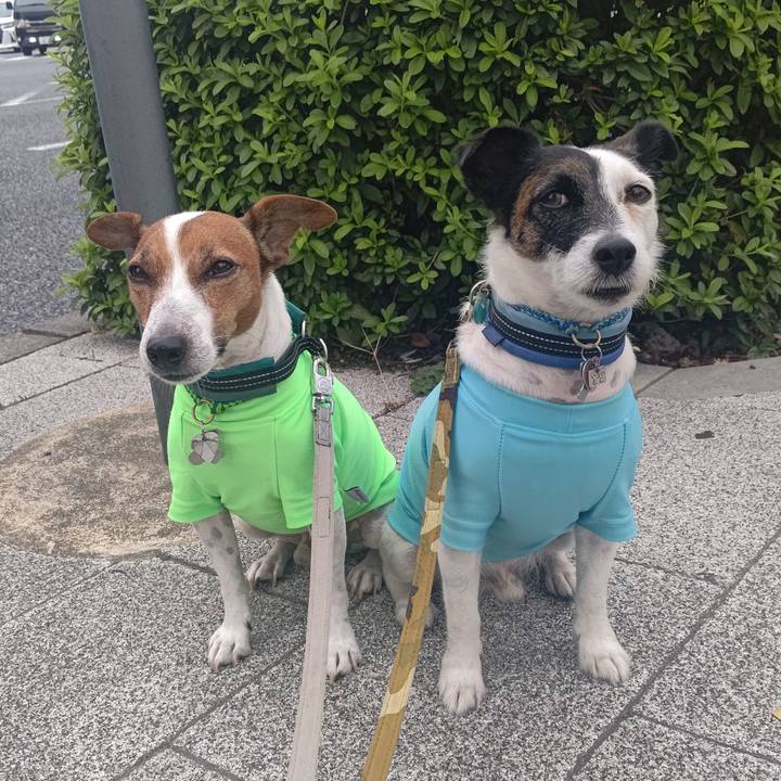 Fa7609fc 8737 487d 90a7 f321903a62e4 1696120313122