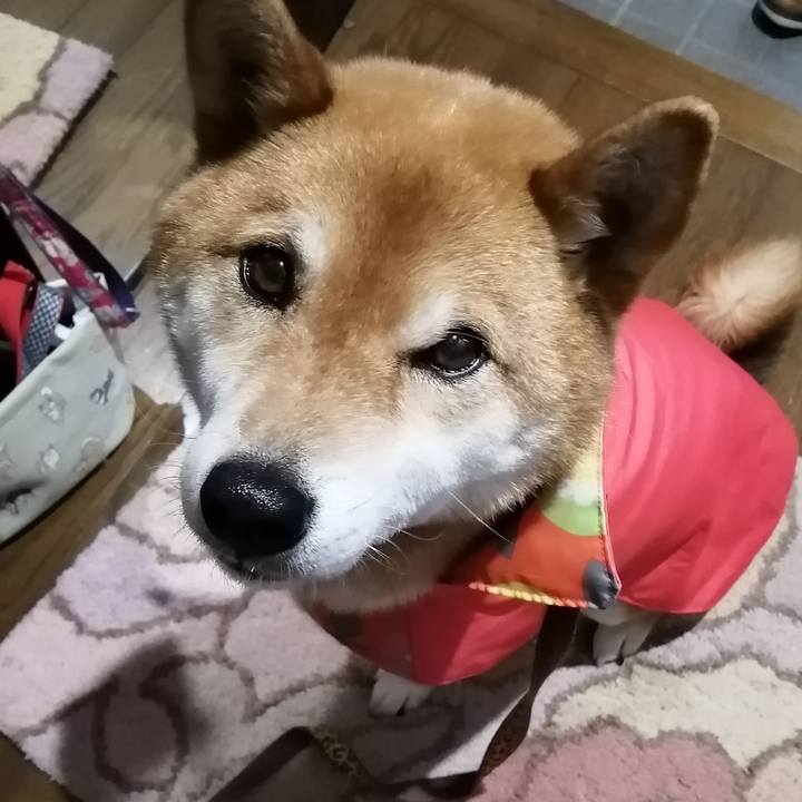 Fa7656fb 153b 4e87 866a 32d3ae5302f1 1587186400073