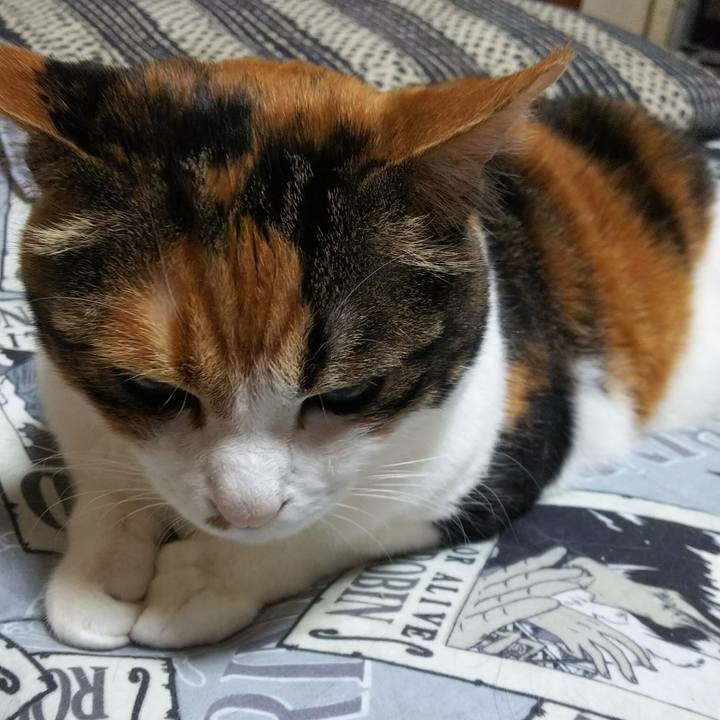 Fa7660f0 7315 4a3f 9648 f98cefb6a969 1529103281076