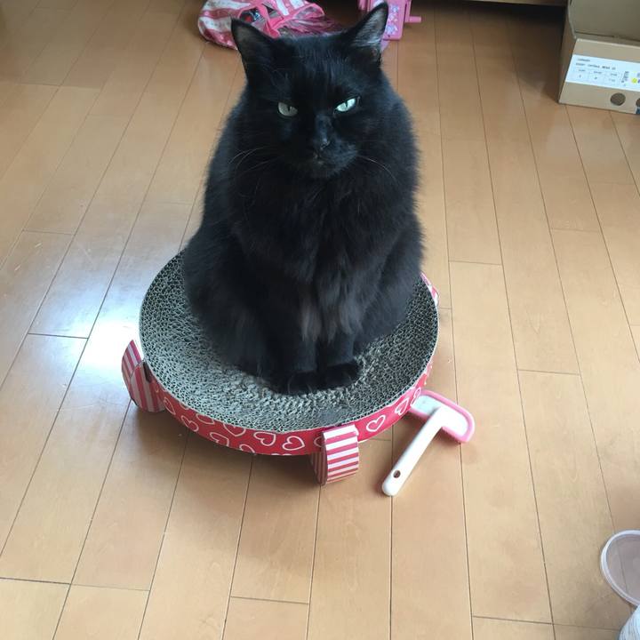 Fa766a97 5cdd 442e 907b f6633f62047c 1570773162665