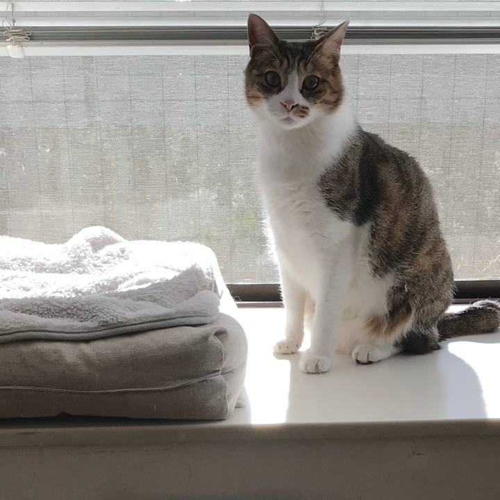 Fa769d8d 7750 4deb b894 549f79eae41d 1513394594381