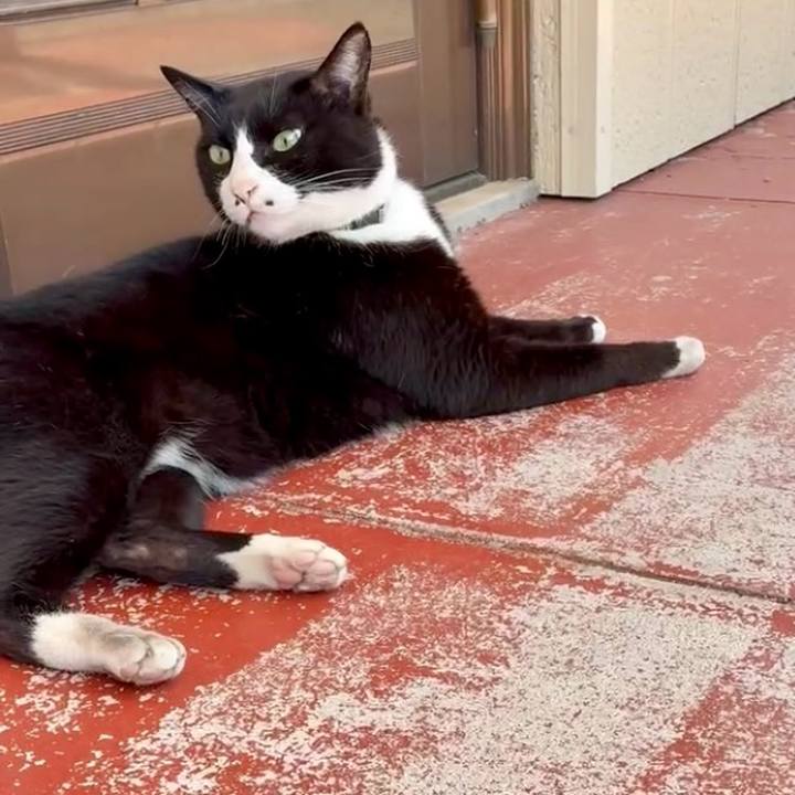 Fa76c355 4911 4d0f 92c9 7423fecf9cb6 1745719630259