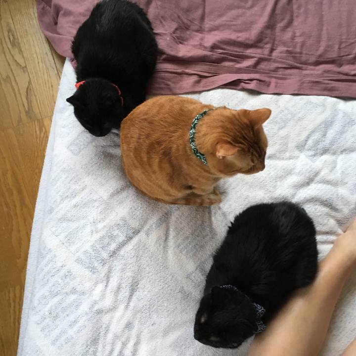 Fa76dfd4 42dd 4486 b2e4 82a099ce9880 1548544414553