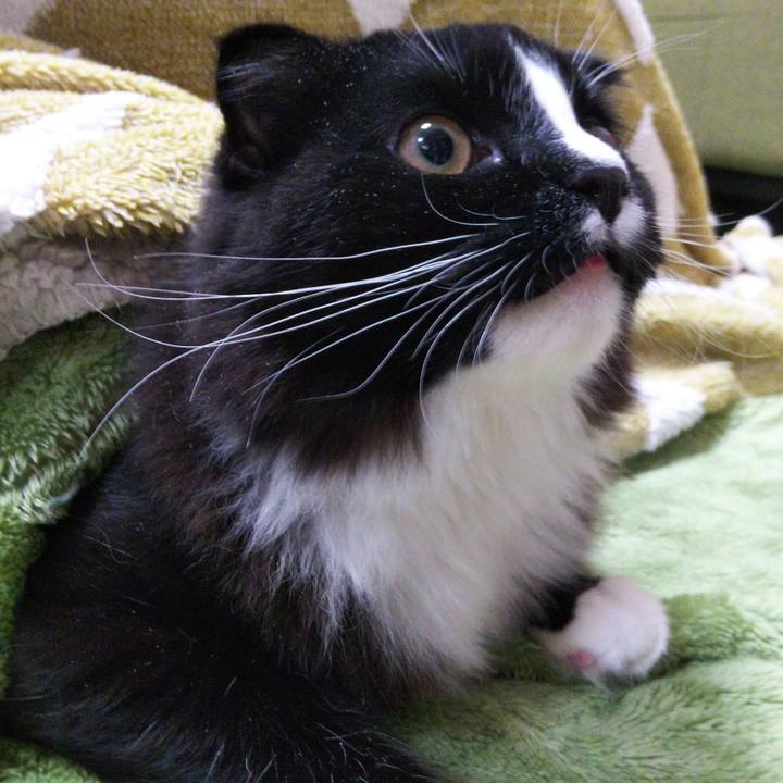 Fa773405 98ea 4b38 aaf8 cd7b75d4b5cd 1648204968328