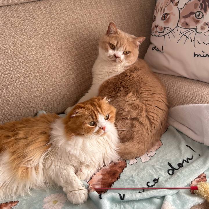 Fa773cc3 254e 4107 b141 ac9cae6c9a7d 1736488451384