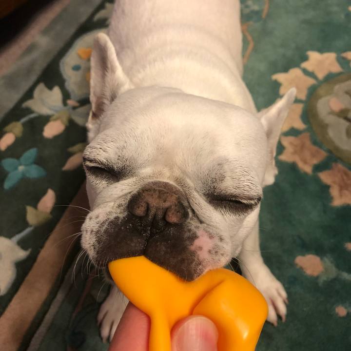 Fa77f6ec 5dcc 45a9 a129 66df2d0ec838 1622117093271