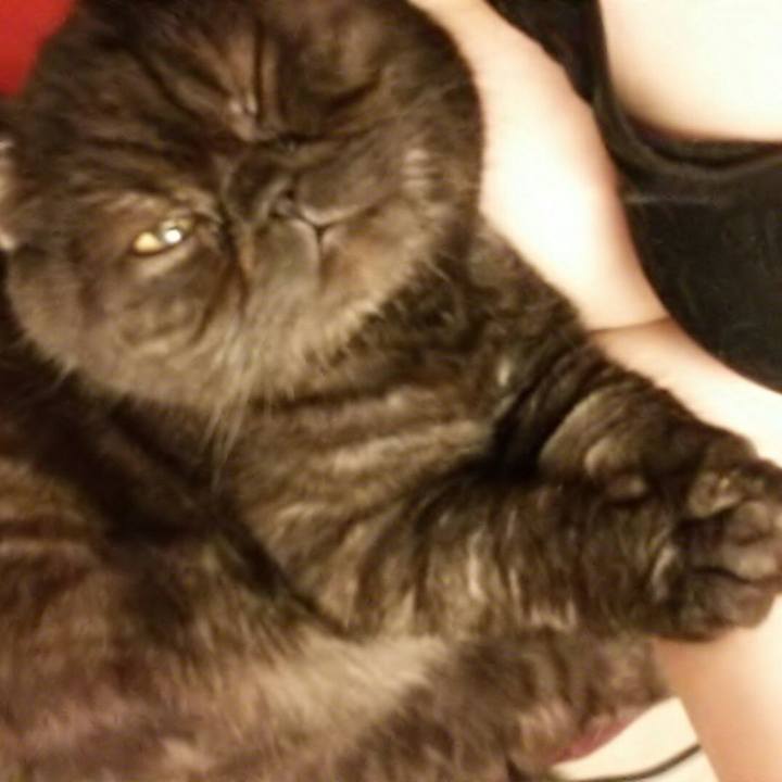 Fa780aaf 2ac0 4176 b515 0820adc0946d 1582379273582