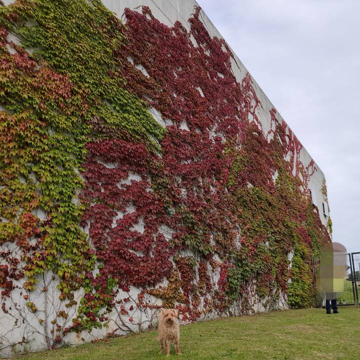 Fa782442 039e 4fd6 9260 cd3fceef9662 1601169450491