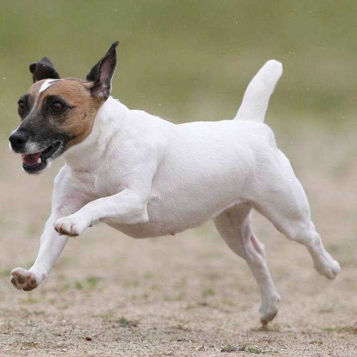 Fa782697 f782 4d43 a043 850529dc7df0 1523251518414