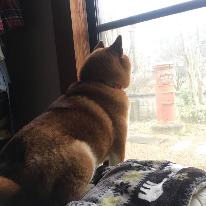 Fa783016 3bdc 4d73 8186 e20370e32b5a 1584861110389