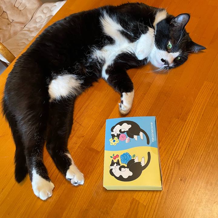 Fa784237 3264 4c95 b7b8 98422caebb4f 1739320496425