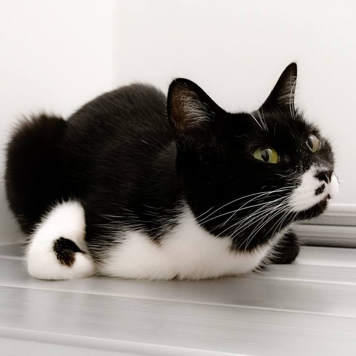 Fa784cf7 bb55 4e0b bdaa ad80b3870b14 1549720240848