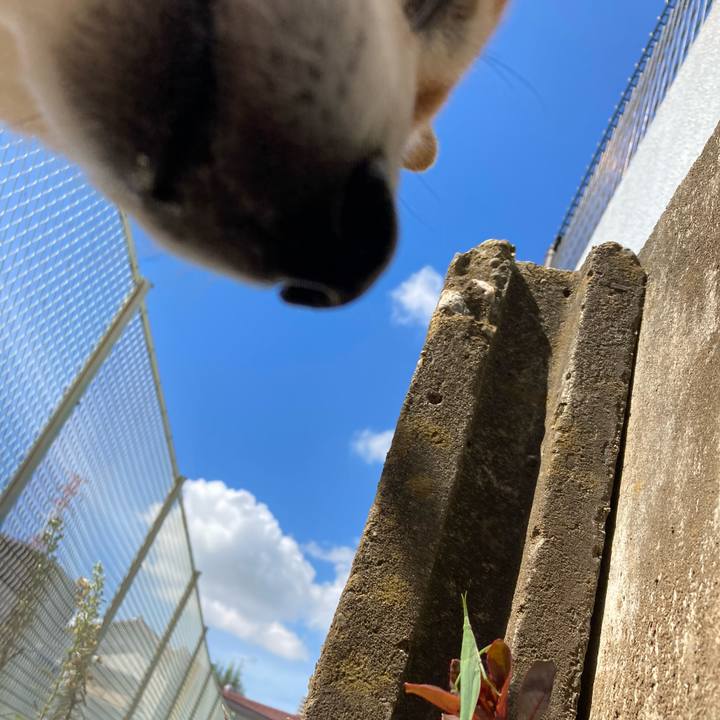 Fa788d0a daae 4b7c 90f5 c60d4417f3a5 1693702624528