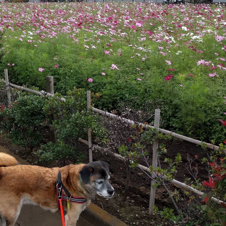 Fa78f15d 6a89 4283 b635 71be9b9253ee 1540513350507