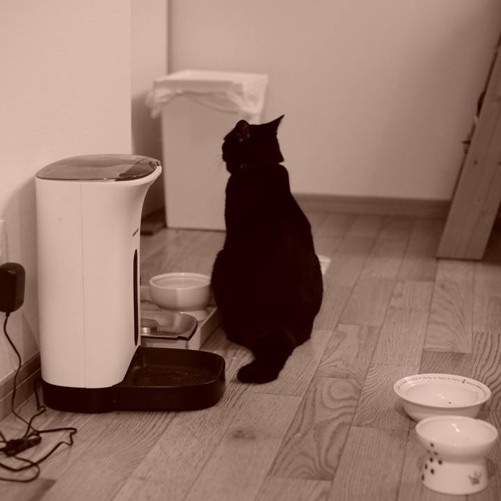 Fa78ffc4 ab80 434e a3e9 79c5328ac3cc 1533598883970