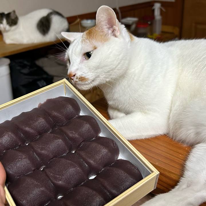 Fa791ffc a844 473f 9e54 923c1053324c 1672414215323