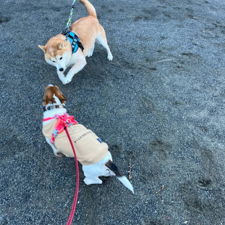 Fa796b11 bdf4 4e63 907e c98a4f513265 1762259628333