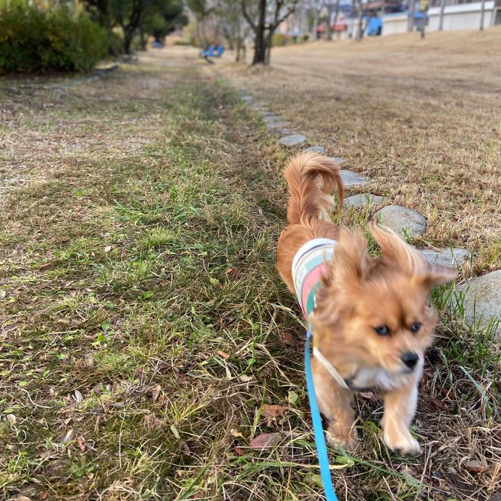 Fa79b760 f7e2 4425 a5ce 06a91b973dc9 1576456062179