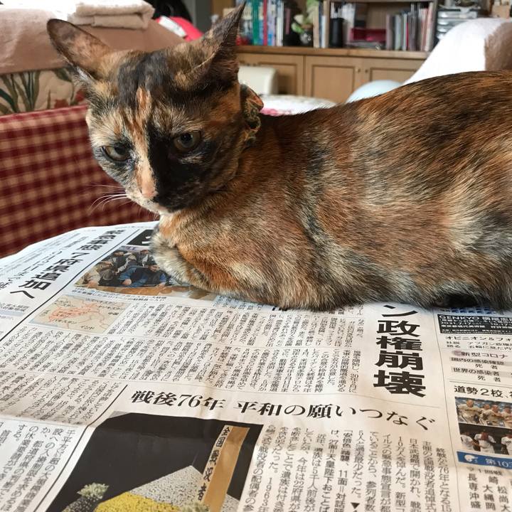 Fa79c169 9b9f 4dea 83fc dcd0705cb051 1629150709039