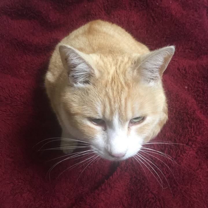 Fa79d3ca 7aa9 4f9f 9314 5c50ab9fb761 1550236861368