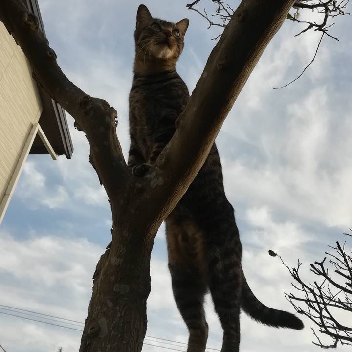 Fa7a3408 eb5f 46c8 8f5a 942a099f8767 1573974227972