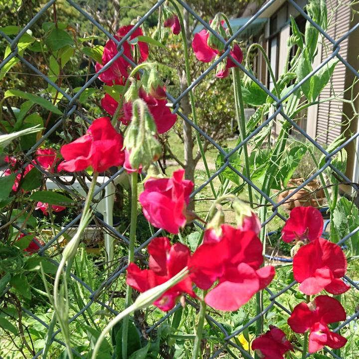 Fa7a4fd4 ab1f 44bc b3cc fd3ba34d791e 1524364984499