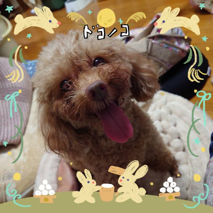 Fa7a6067 6edf 4925 9c5d 8abae1ce3402 1726979000617