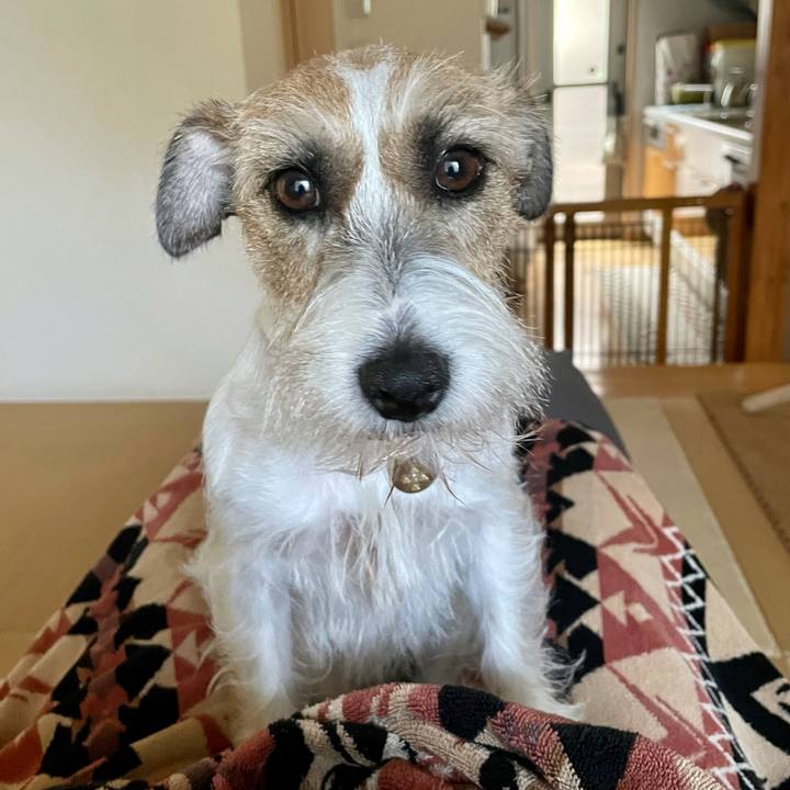 Fa7a700c cc7a 4538 9a49 ce4ecc534adc 1629276197110